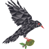 bird_logo